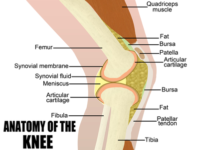 Asanas pentru artroza genunchiului - Asanas pentru durere în articulațiile șoldului