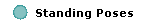 Standing Poses