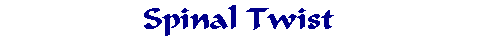Spinal Twist