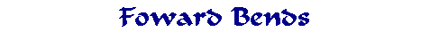 Foward Bends