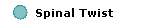 Spinal Twist